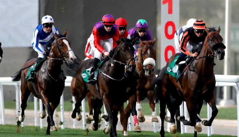 betting tips uk horse racing